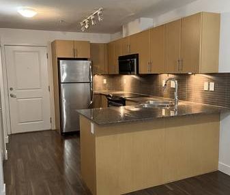 Spacious 1 bedroom 1 bathroom - Walnut Grove/Carvolth - Photo 4