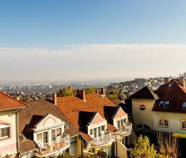 Zöldkő utca - Photo 6