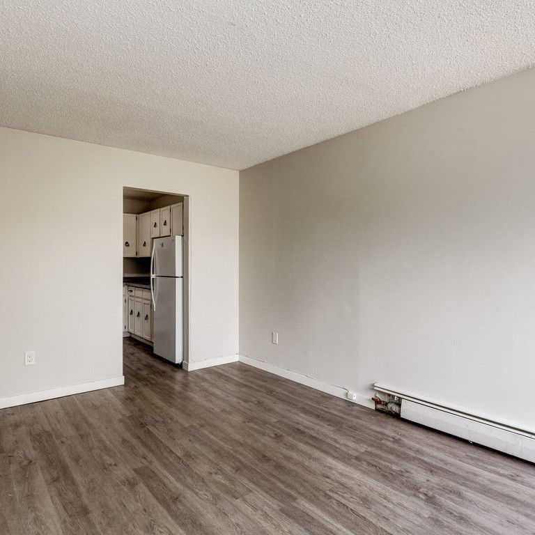 Renovated Suite - 1 Bedroom - Photo 1