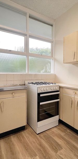 LIGHT AND AIRY ONE BEDROOM UNIT - Photo 1