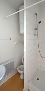 Location Appartement 1 pièce 23m² ROANNE 42300 - Photo 4