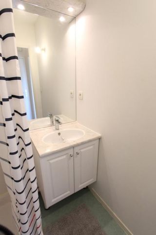Location Appartement 1 pièce Meublé 22m² NANTES 44300 - Photo 3