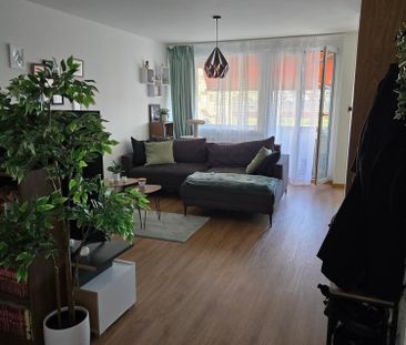 2.5 Zimmer - Photo 1