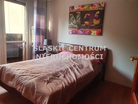 Gołonóg, Storczyków, Dąbrowa Górnicza - Photo 5