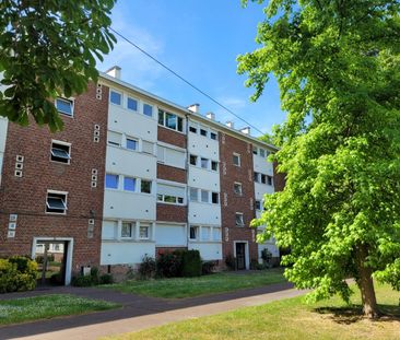 Location Appartement 3 pièces 54m² LAMBERSART 59130 - Photo 6