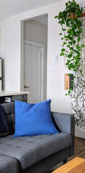 2 CH - 1 SDB - Montréal - $1,615 /mo - Photo 1