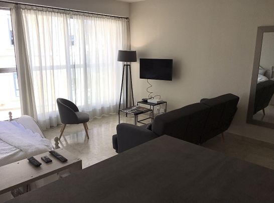 Location Appartement 1 pièce 36m² NICE 06000 - Photo 1