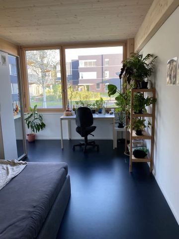 3.5 Zimmer, 73 m², 1. Stock - Photo 4