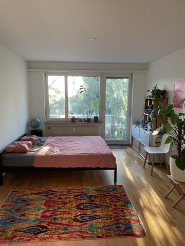 2½ ZI-WOHNUNG IN BASEL - SPALEN, MÖBLIERT, TEMPORÄR - Photo 3
