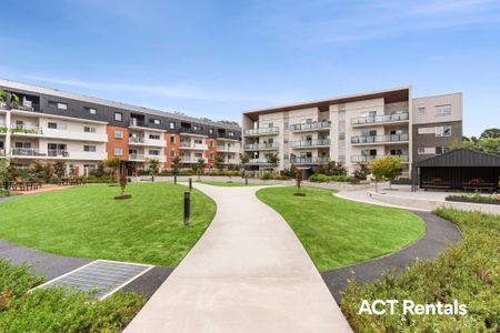 49/16 Bradfield Place, Downer ACT 2602 - Apartment For Rent | Domain - Photo 4