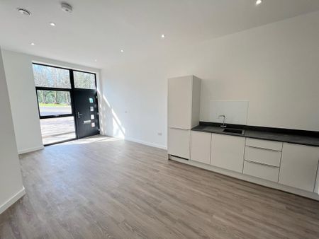 1 bedroom ground floor maisonette to rent - Photo 3