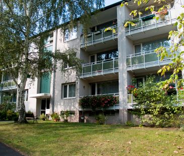 Demnächst frei! 3-Zimmer-Wohnung in Bonn Plittersdorf - Photo 1