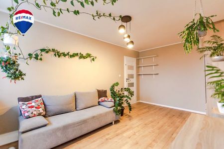 Do wynajęcia 3 pokoje w centrum Zielonej Góry! - Фото 5