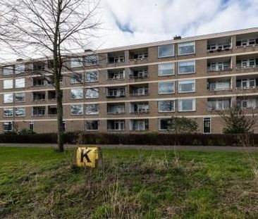 Paramaribostraat 0ong, 2315 Leiden, Nederland - Photo 1