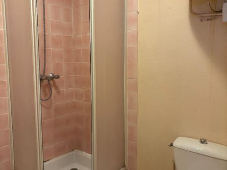 Location Appartement 1 pièce(s) de 21.01 m2 - Photo 5