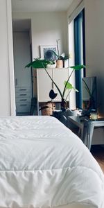 Adelaide CBD - Photo 3