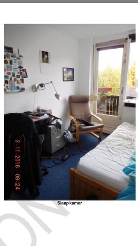 Chambre Rivierenlaan, Pijnacker - À louer - Foto 2