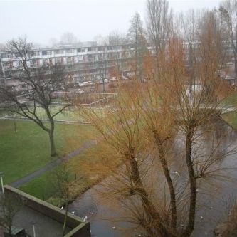 Apartment Leiden - Arendshorst - Photo 1