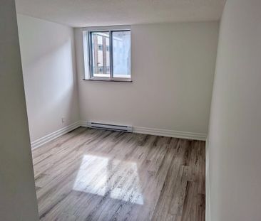 For Lease - 435 Albert Street Unit# 211, Ottawa Centre, Ontario - Photo 3