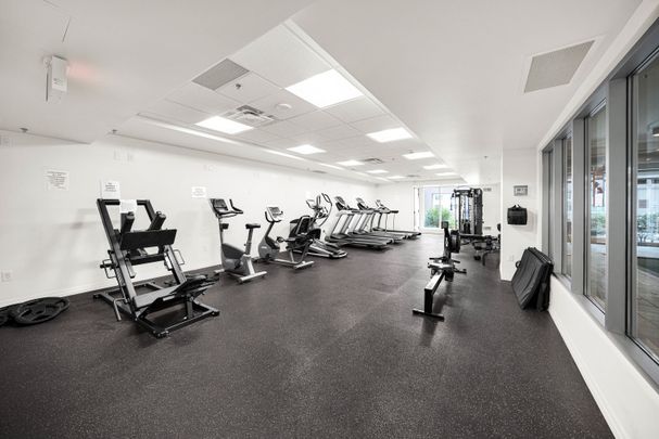 For Lease - 195 Besserer Street Unit# 1504, Lower Town - Sandy Hill, Ontario - Photo 1