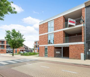 Markt 1, 2490, Balen - Photo 6