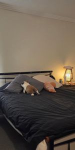 Forestville - Photo 4