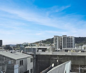 Te Aro Living! - Photo 4