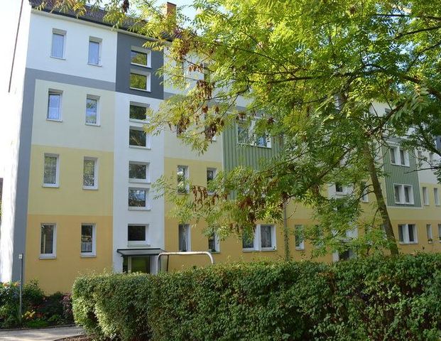 Den Herbst im neuen Zuhause genießen... - Foto 1