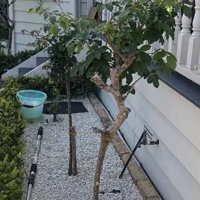 3 BDR - LUXURY CHARACTER VILLA Sandringham - Photo 1