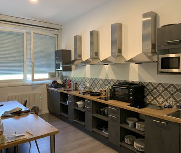 Location Appartement 1 pièce 19m² SARREGUEMINES 57200 - Photo 5