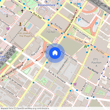 1200 Rue St-Jacques H3C0E9, Montréal