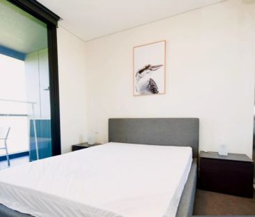 1 bed 1 bath - Photo 2