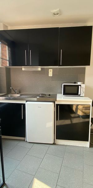 Location Appartement 1 pièce 15m² SULLY SUR LOIRE 45600 - Photo 1