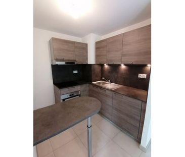 Appartement - RIXHEIM - 39m² - 1 chambre - Photo 2