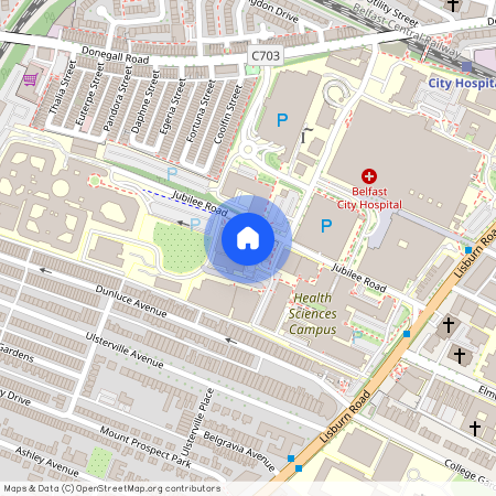 Apt 906, Bradbury Court, Belfast, BT9 7JL