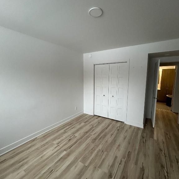 3 1/2 à louer Animaux acceptés 🐾 - Photo 1