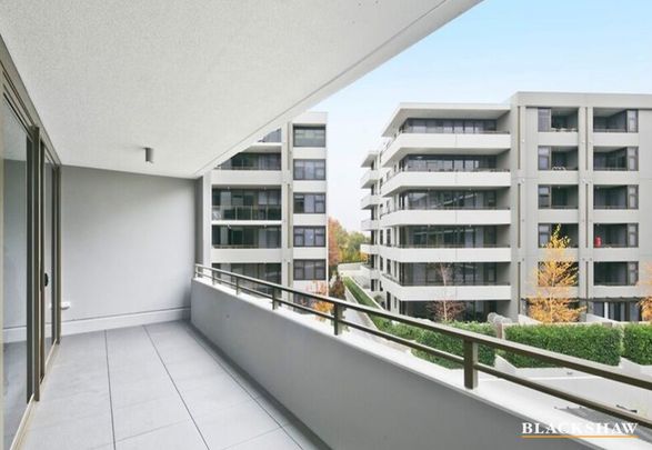 135/46 Macquarie Street, Barton ACT 2600 - Apartment For Rent | Domain - Photo 1