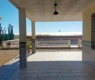 Elche / Elx - Photo 3