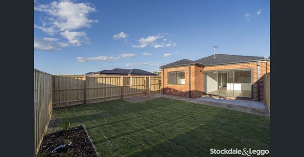 Stylish & Comfortable Living in Fraser Rise - Photo 1