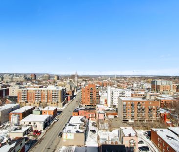 For Lease - 180 York Street Unit# 1302, Lower Town - Sandy Hill, On... - Photo 2