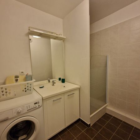 Location Appartement 1 pièce 39m² VILLEURBANNE 69100 - Photo 4