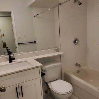 $300 Move-in Bonus - 1-Bedroom Apartment-Newly Renovated: - Photo 3