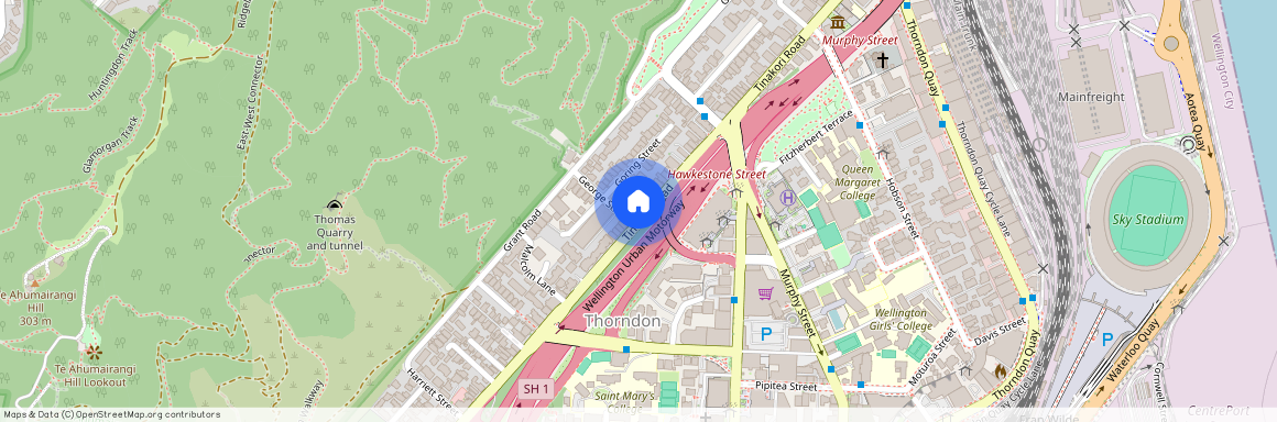 132 Tinakori Road, Thorndon, Wellington City