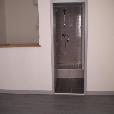 Location Appartement 1 pièce 25m² AUBENAS 07200 - Photo 3