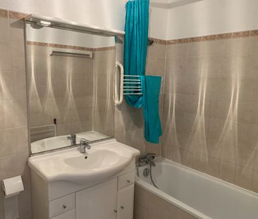 Location Appartement 1 pièce 36m² - Photo 4