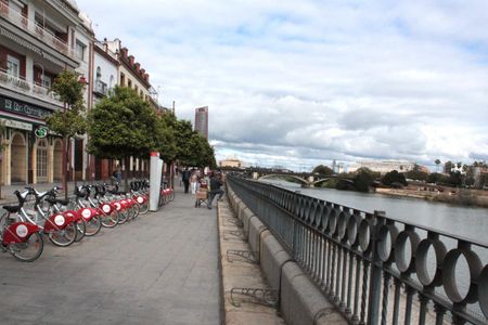 Sevilla, Andalusia 41010 - Photo 3