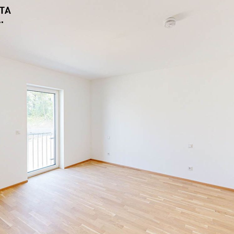 Attraktive 3 Zimmer Wohnung mit großzügiger Terrasse - Photo 1