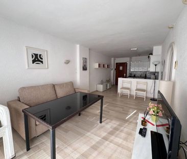 2 room luxury Flat for rent in Alcúdia, Spain - Photo 3