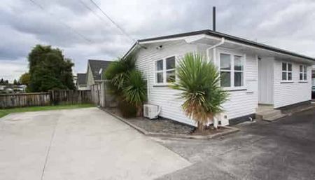 Walk to Waikato & Braemar Hospitals - Photo 5