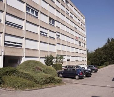 Magnifique appartement de 1 pièce entièrement rénové - Foto 2